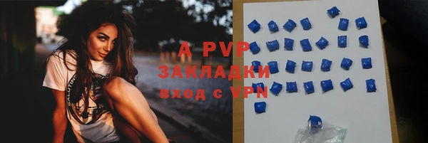 стафф Белокуриха