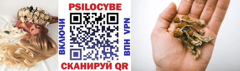 Псилоцибиновые грибы мухоморы  где продают   Нижние Серги 