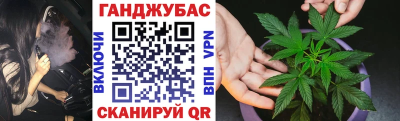 Бошки марихуана SATIVA & INDICA  что такое   OMG tor  Нижние Серги 